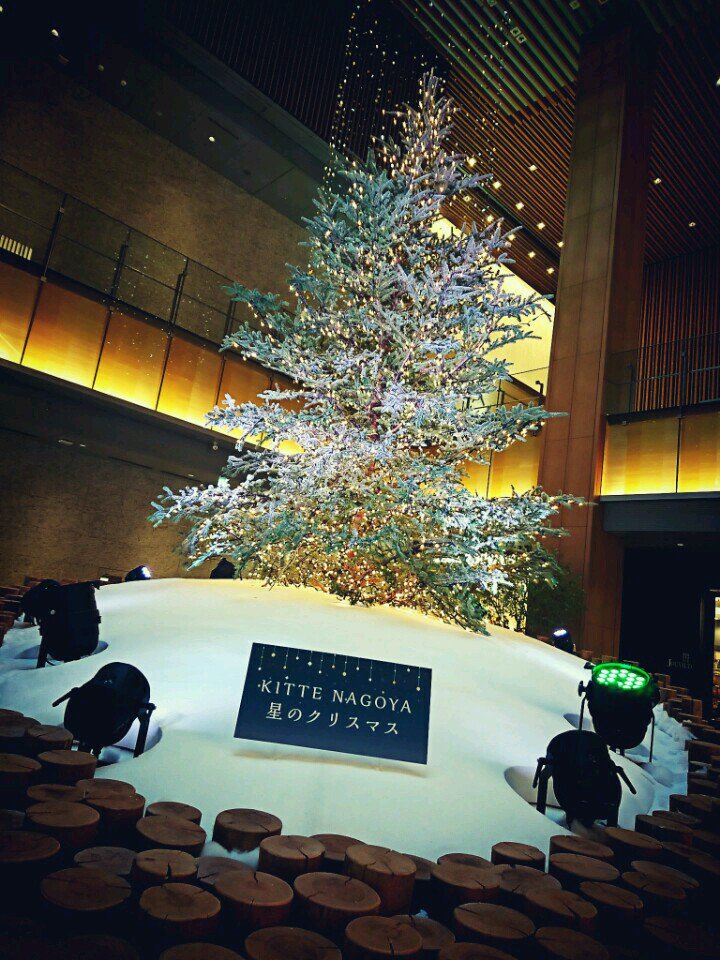 クリスマスツリー (@ KITTE名古屋 in 名古屋市, 愛知県) クリスマスツリー (@ KITTE名古屋 in 名古屋市, 愛知県)