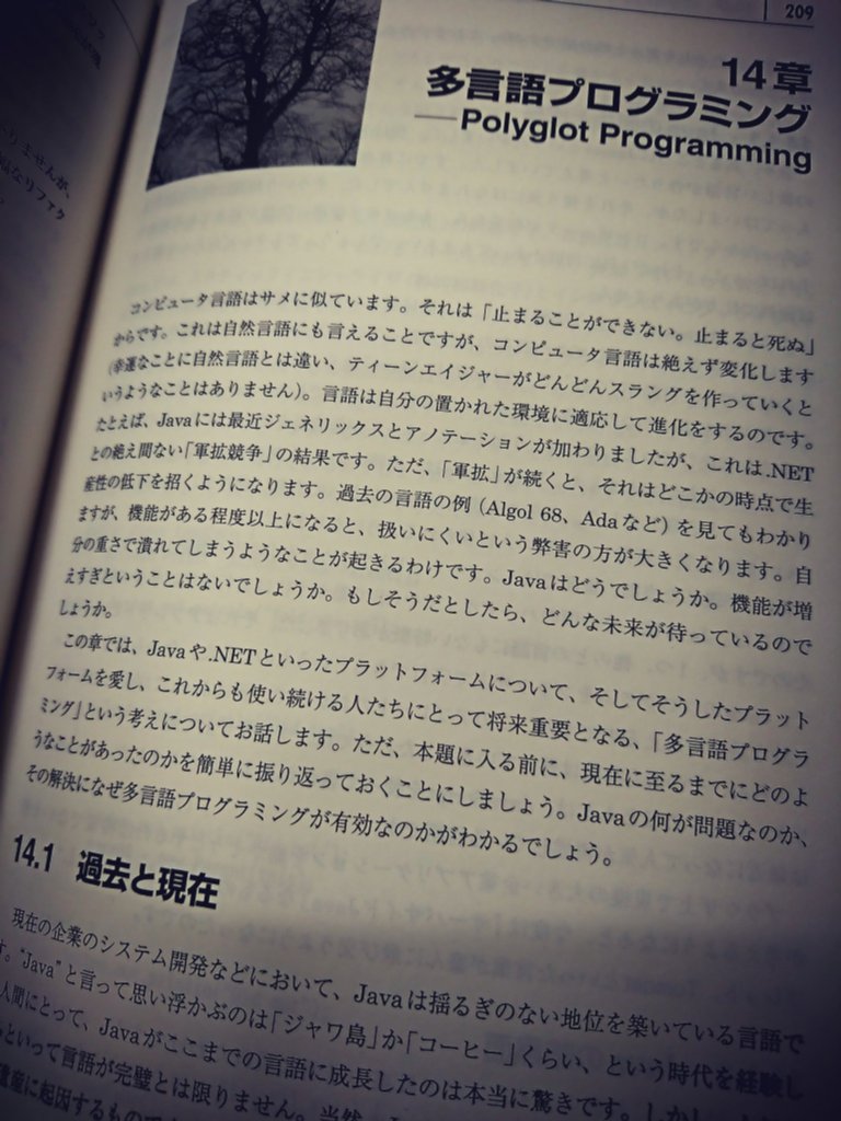 Polyglot Programming 多言語プログラミングの有効さ。1つの言語で機能を増やしすぎると生産性の低下を招く。 「機能がある程度以上になると、扱いにくいという弊害の方が大きくなります」 プロダクティブ・プログラマ Polyglot Programming 多言語プログラミングの有効さ。1つの言語で機能を増やしすぎると生産性の低下を招く。 「機能がある程度以上になると、扱いにくいという弊害の方が大きくなります」 プロダクティブ・プログラマ
