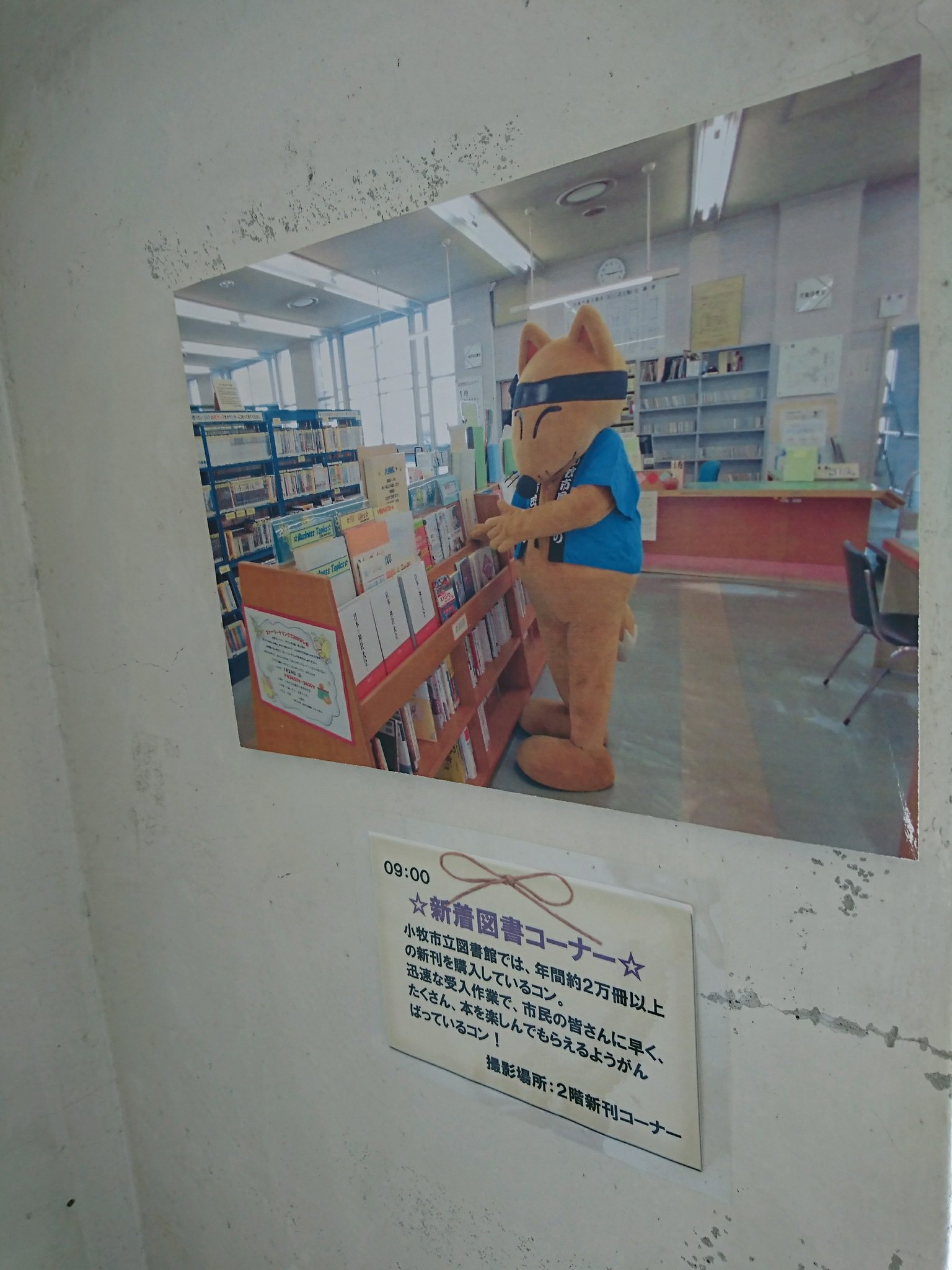 吉五郎さん働き者。図書館カードのデザインはキツネの吉五郎さんから、相撲取りの『こまき山』に変わるらしい。 (@ 小牧市立図書館 in 小牧市, 愛知県) 吉五郎さん働き者。図書館カードのデザインはキツネの吉五郎さんから、相撲取りの『こまき山』に変わるらしい。 (@ 小牧市立図書館 in 小牧市, 愛知県)