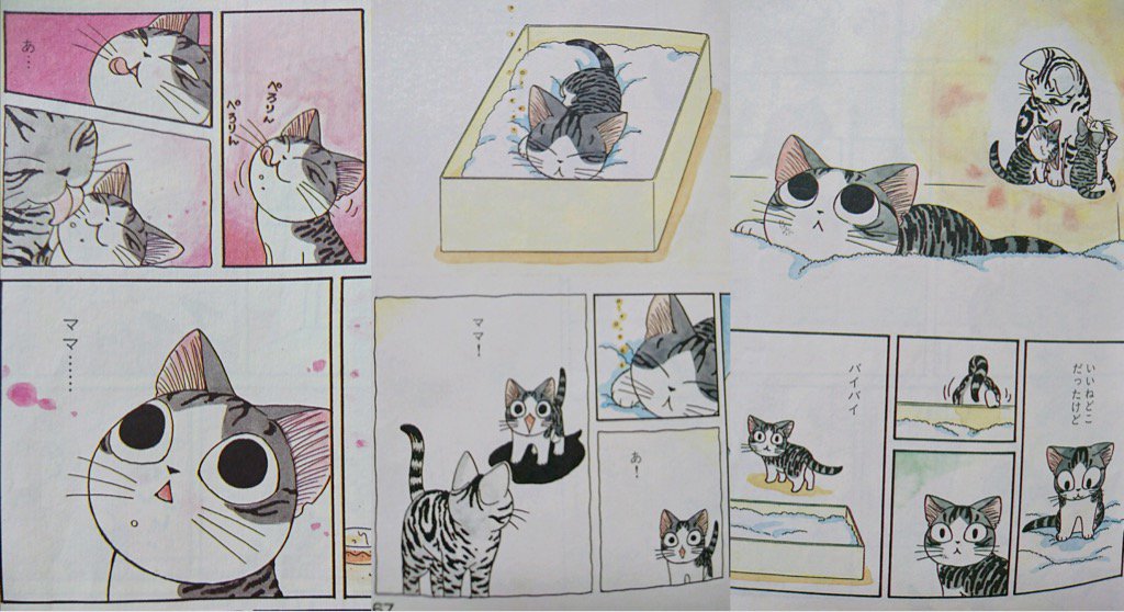 (´;ω;`)ブワッ 「初めてのお散歩中に、お母さんとはぐれてしまった子猫のチー。迷子になったチーは、やさしい山田さん一家に拾われることに」 チーズスイートホーム(1) (KCデラックス モーニング) | こなみ かなた (´;ω;`)ブワッ 「初めてのお散歩中に、お母さんとはぐれてしまった子猫のチー。迷子になったチーは、やさしい山田さん一家に拾われることに」 チーズスイートホーム(1) (KCデラックス モーニング) | こなみ かなた