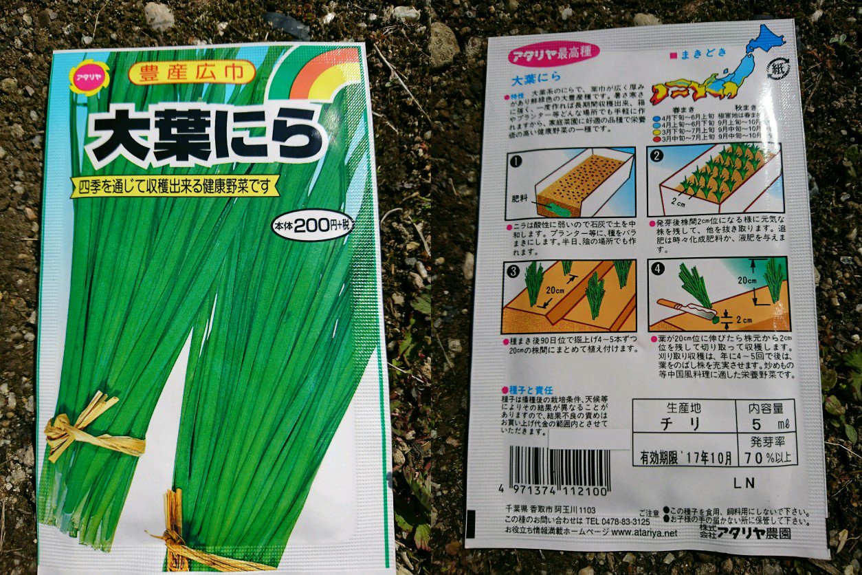 アタリヤ農園 大葉にら。種を庭に蒔く。 アタリヤ農園 大葉にら。種を庭に蒔く。