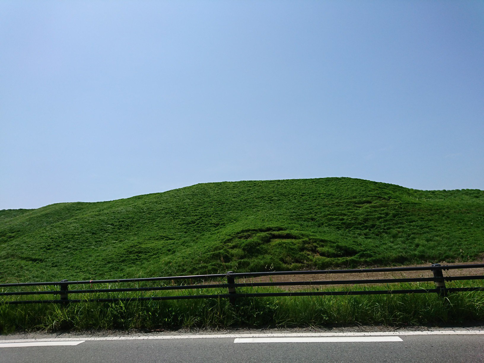 緑の丘 緑の丘