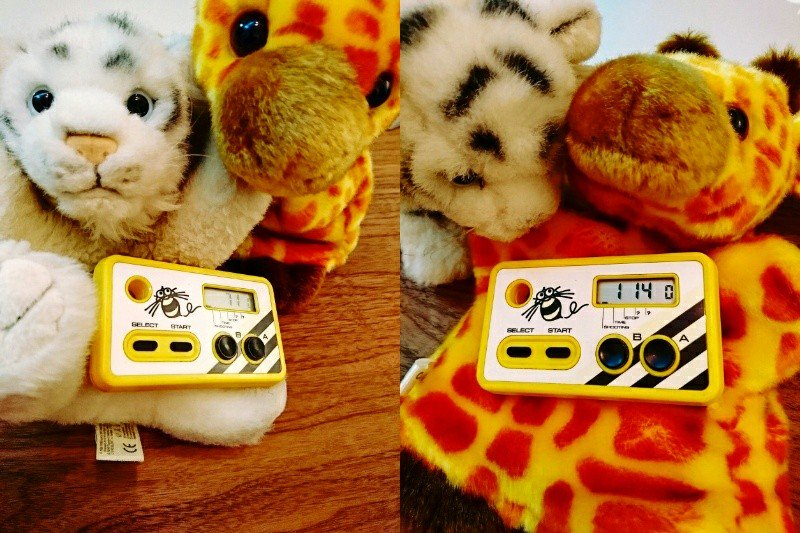 きょうも子どもとシュウォッチ対決。 きょうも子どもとシュウォッチ対決。