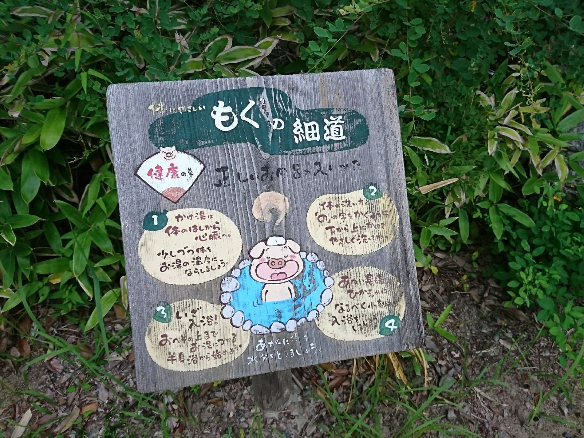もくもくの細道 もくもくの細道