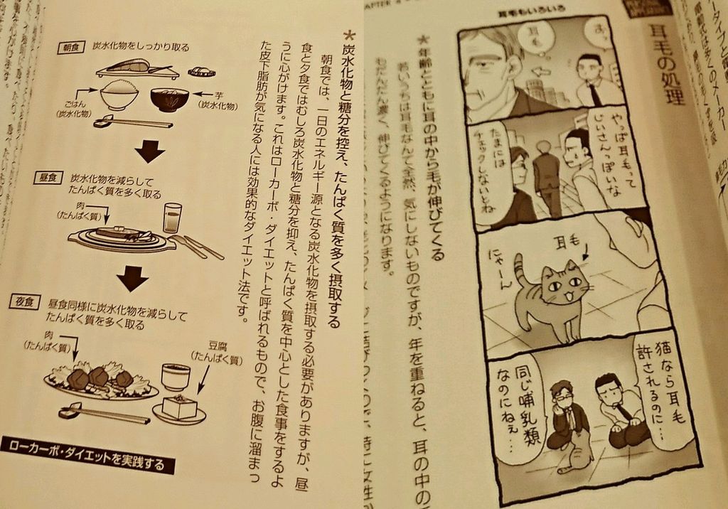 猫なら耳毛も許されるのに(ΦωΦ) 朝食は炭水化物を摂取。昼と夜は炭水化物と糖分を控える。 モテる男の身だしなみ | 首藤 眞一良 猫なら耳毛も許されるのに(ΦωΦ) 朝食は炭水化物を摂取。昼と夜は炭水化物と糖分を控える。 モテる男の身だしなみ | 首藤 眞一良