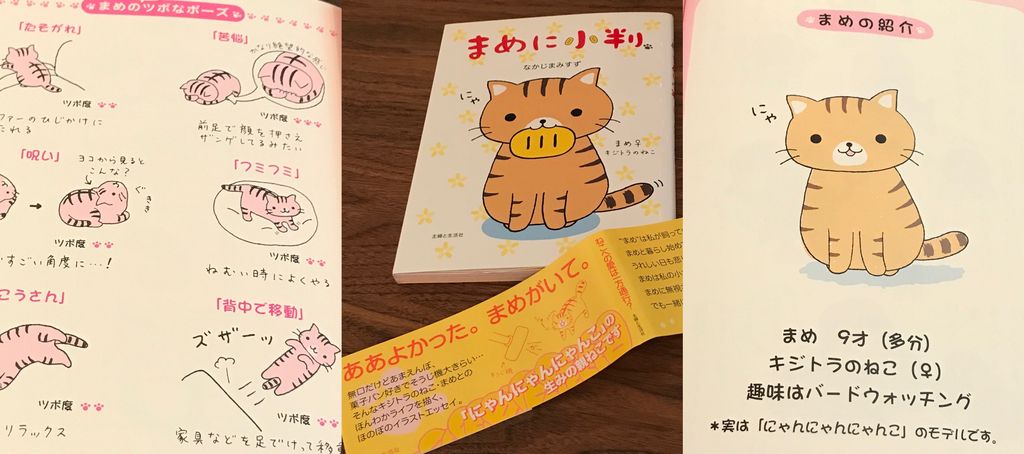 読み返してほっこり(*´ω`*) にゃんにゃんにゃんこのモデル猫。 「私の愛はいつも一方通行。まめに無視され、埋められ、けられ…。でも一緒にいるだけでなんだかしあわせ。ああよかった。まめがいて」 まめに小判 | なかじま みすず 読み返してほっこり(*´ω`*) にゃんにゃんにゃんこのモデル猫。 「私の愛はいつも一方通行。まめに無視され、埋められ、けられ…。でも一緒にいるだけでなんだかしあわせ。ああよかった。まめがいて」 まめに小判 | なかじま みすず