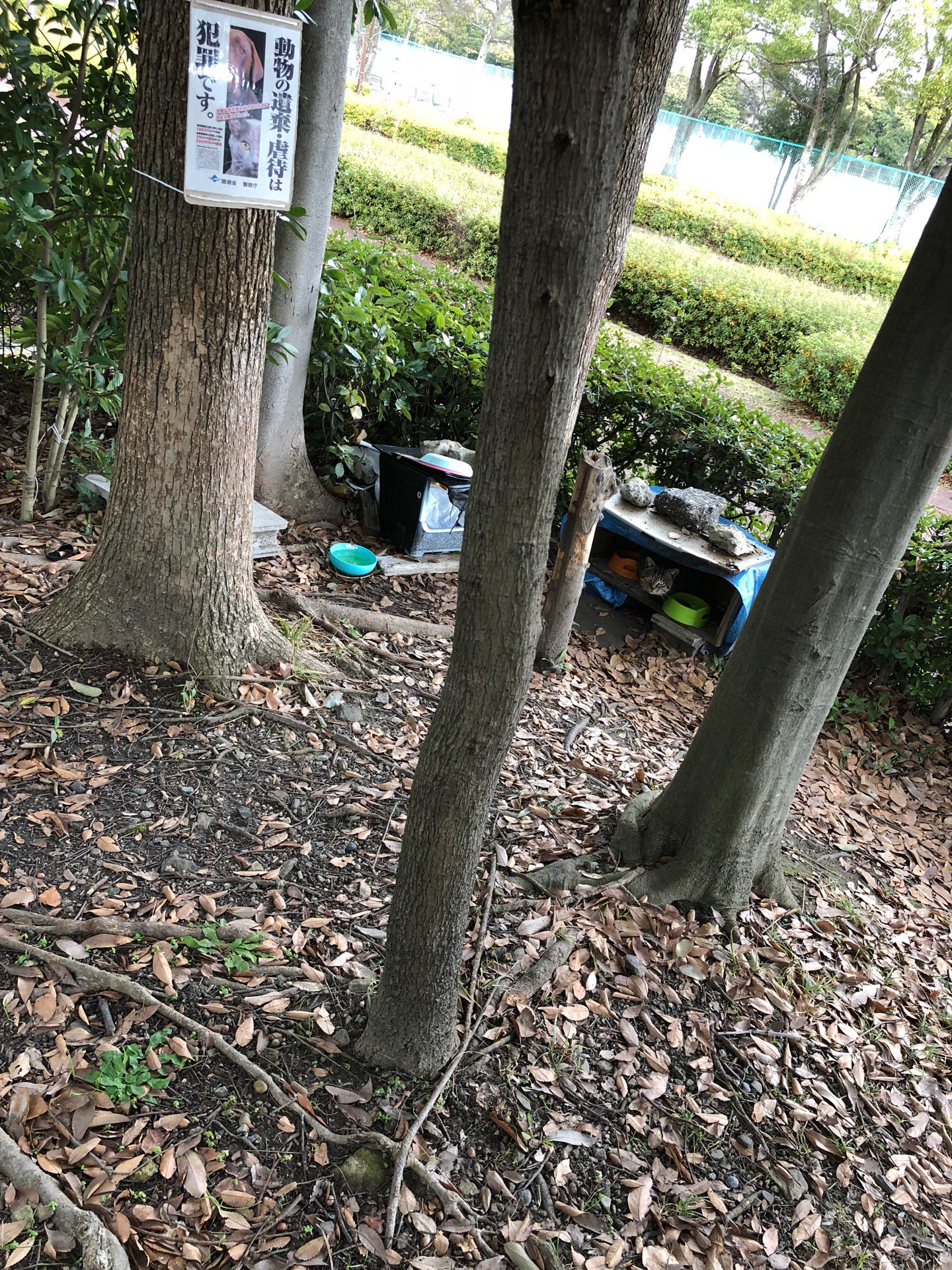 猫小屋がある (@ 稲永公園 in 名古屋市, 愛知県) 猫小屋がある (@ 稲永公園 in 名古屋市, 愛知県)