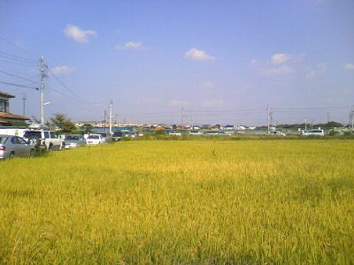 航空自衛隊小牧基地航空祭2008年