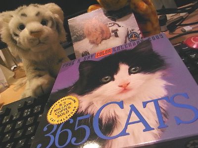 365 Cats 2009 Calendar