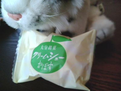 大分銘菓 クリームシューかぼす