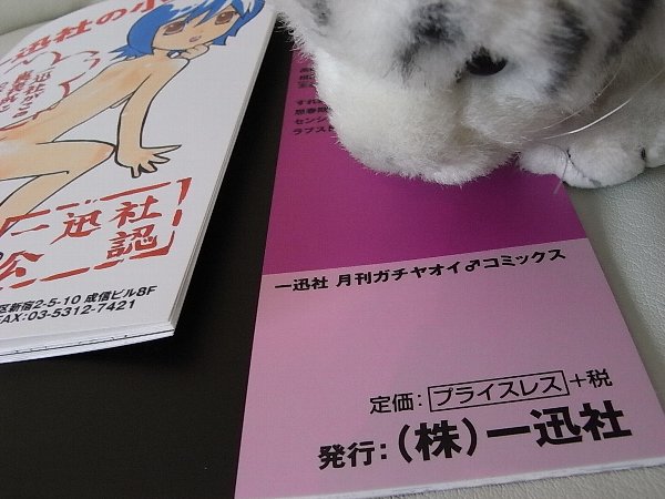 一迅社「ストレンジ・プラス＆学園天国パラドキシア全員サービス企画小冊子」「えっ表紙がコマ割り!? 表紙とか知るか! ページがもったいねーだろ こっからマンガだこっから！ サービス入れろ！ ギャグ入れろ！ (ただいマッスル) あとここのセリフ全部合わせてタイトルな! 長ぇよ!!」「インモラル退魔師」