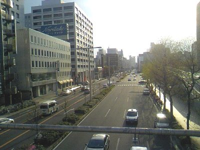 Sakae Kouen Hodoukyou (Sakae Park Footbridge) in Nagoya, Japan