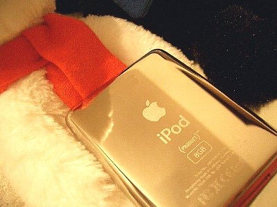 iPod nano video