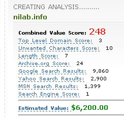 Estimated Value of the nilab.info